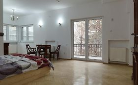 Central Appartment - Heart Of Bucharest - Sector 1 - New Renovated - Open Space