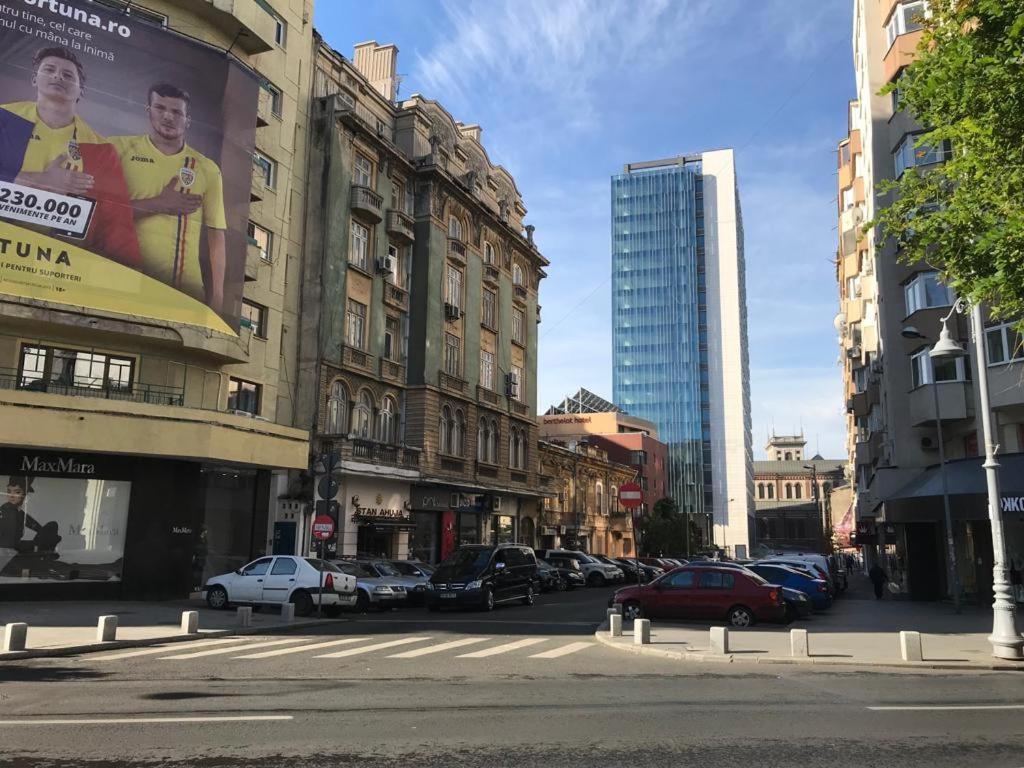 Central Appartment - Heart Of Bucharest - Sector 1 - New Renovated - Open Space Exterior foto