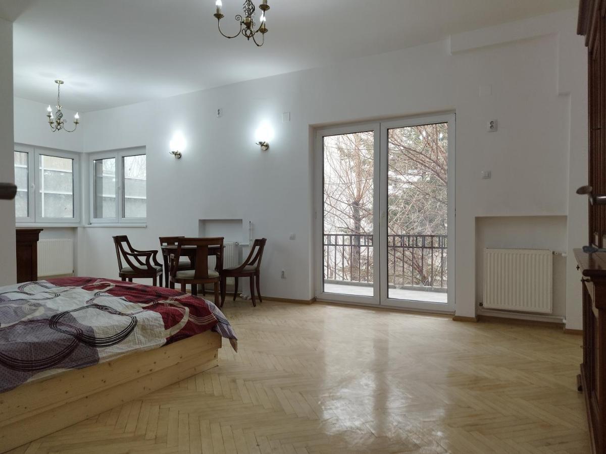 Central Appartment - Heart Of Bucharest - Sector 1 - New Renovated - Open Space Exterior foto